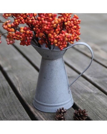 Arrosoir Zinc bec canard