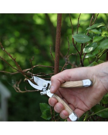 Sécateur multi-outils