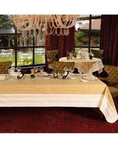 Set antitache déperlant coton & autres fibres or 54X39