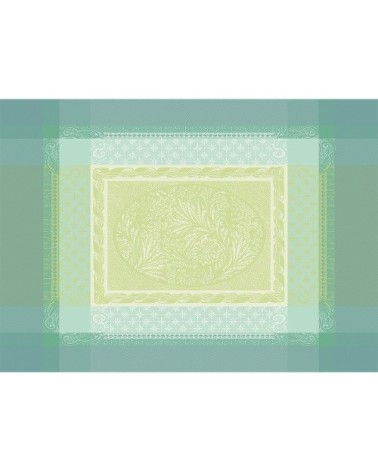 Set antitache déperlant pur coton vert 54X39