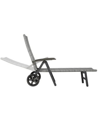 Bain de soleil avec roulettes Auckland en aluminium gris clair