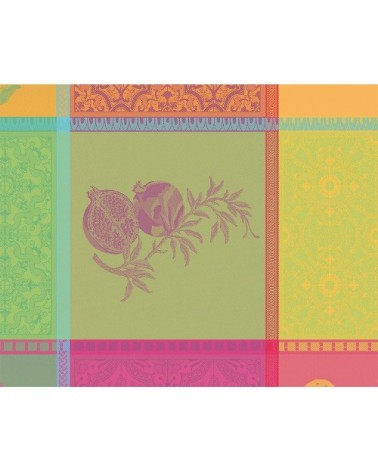 Set enduit imperméable pur coton multicolore 40X50