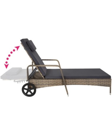 Bain de soleil aluminium Cassis 6 positions avec roulettes marron