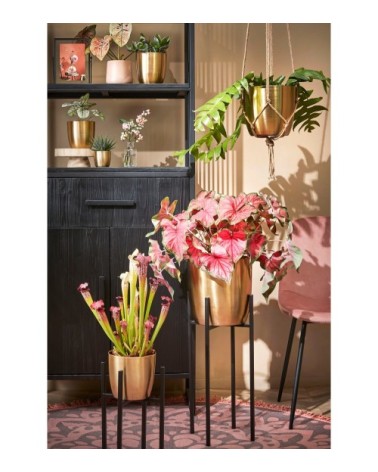 Porte-plante en métal noir H50