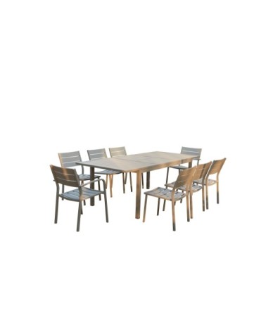 Table de jardin extensible 6 chaises et 2 fauteuils en alu