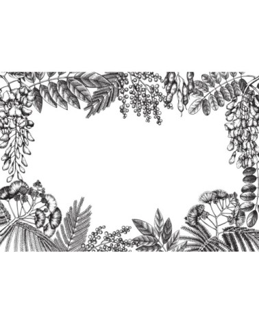 Papier peint panoramique gravure mimosa 270x390cm