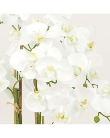 Orchidées artificielles blanche 55cm