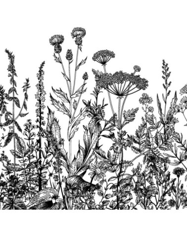 Crédence adhésive gravure prairie 200x40cm