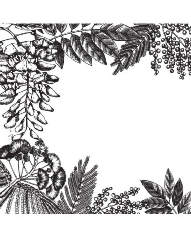 Crédence adhésive gravure mimosa 200x60cm