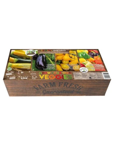 Carré de Potager Légumes Colorés