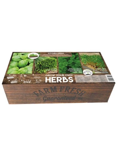 Carré de Potager Herbes de cuisine