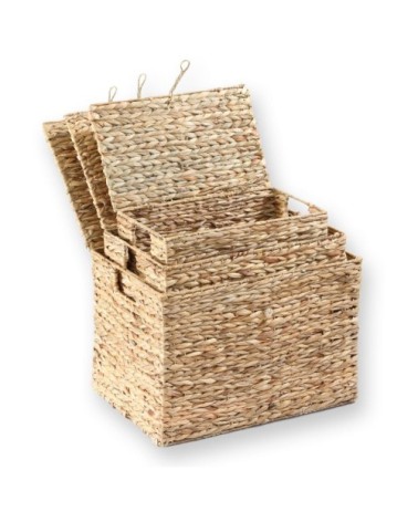 Lot de 3 Coffres en Jacinthe d'Eau avec Couvercle - Marron