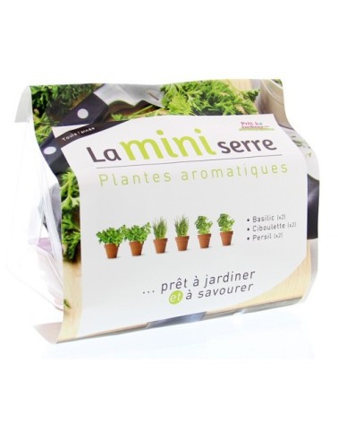 Mini serre herbes aromatiques