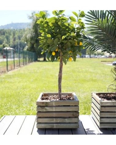 Bac à fleurs en bois de pin carré  L-40cm