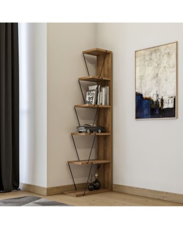 Bibliothèque marron