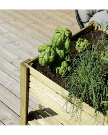 Carré potager kub 80 cm