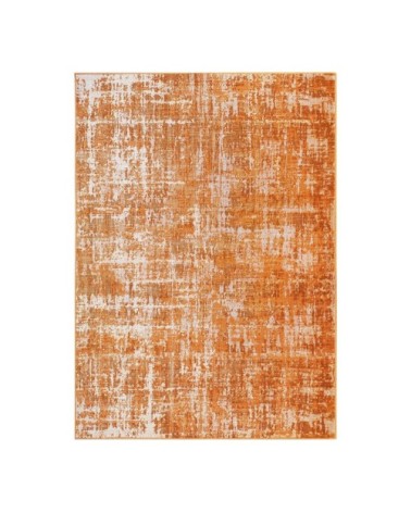 Tapis effet patiné vintage terra 120x170