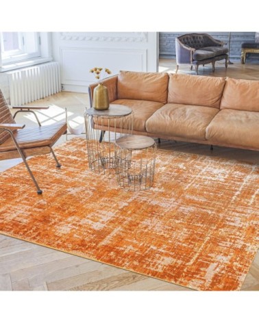 Tapis effet patiné vintage terra 120x170