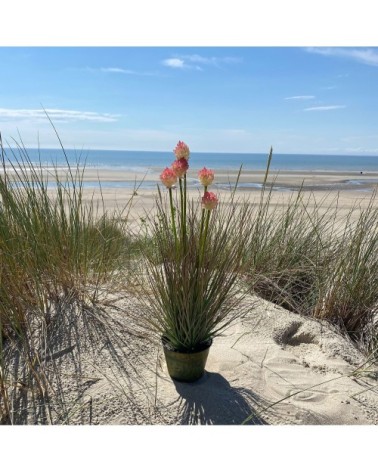 Graminée artificielle avec pot en zinc H53