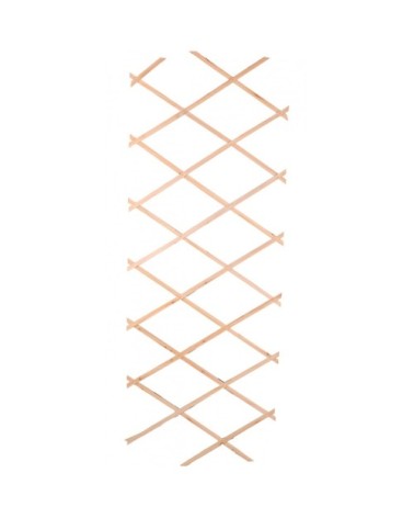 Treillis en bois extensible pour plantes grimpantes - 180x90x0.7cm