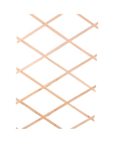 Treillis en bois extensible pour plantes grimpantes - 180x90x0.7cm