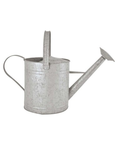 Arrosoir Zinc 3,5L