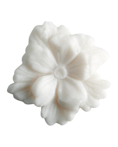 Boite 4 décors fondants Fleur de Thé