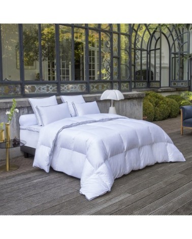 Couette PALAIS DES REVES - 70% duvet d'oie - Tempérée 220x240 cm - Dro