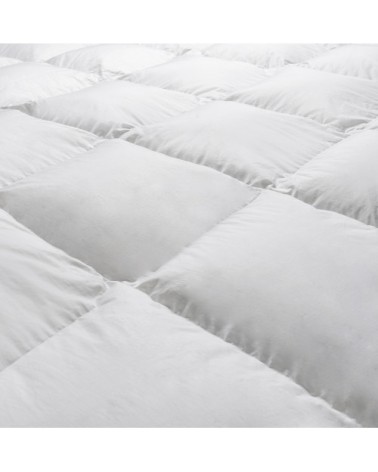 Couette PALAIS DES REVES - 70% duvet d'oie - Tempérée 220x240 cm - Dro