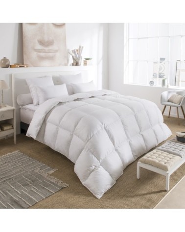 Couette Everest - CHAUDE 220x240 cm - Drouault