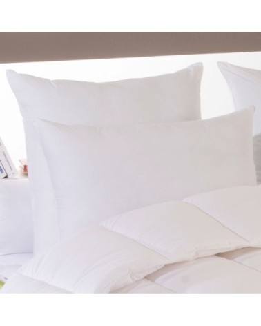 Oreiller Enveloppe Coton BIO Eco Responsable Medium 65x65 cm - DODO