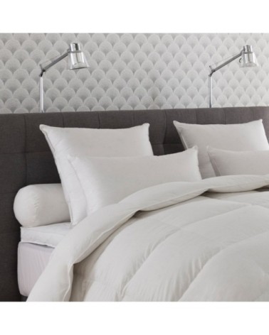 Oreiller ANNAPURNA - MOELLEUX 65x65 cm - Drouault