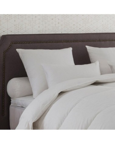 Oreiller Alaska 40% Duvet - MEDIUM 65x65 cm - Drouault