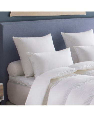 Oreiller Canada  - MOELLEUX 65x65 cm - Drouault