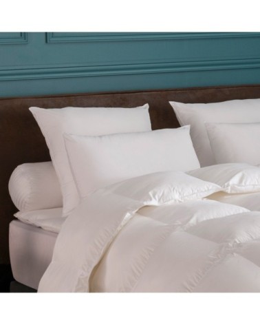 Oreiller MEDIUM Toucher Duvet 50x70 cm - Drouault