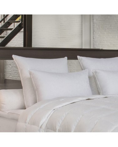 Oreiller Concordia - MOELLEUX 65x65 cm - Drouault