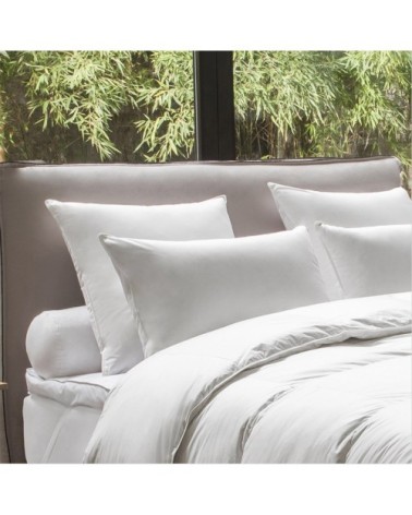 Oreiller ENVELOPPE COTON BIOLOGIQUE - 50% duvet canard et oie - Medium