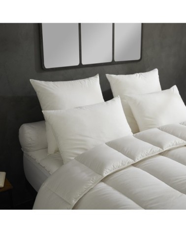 Lot de 2 oreillers - moelleux 60x60 cm