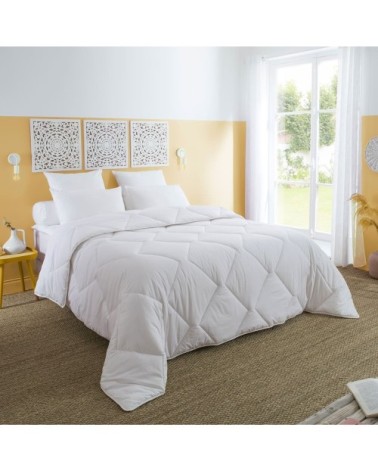 Couette - confort hôtel - tempérée 240x260 cm
