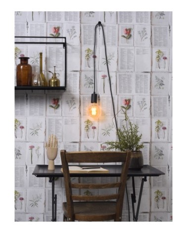 Baladeuse avec accroche murale/plafonnière 6m