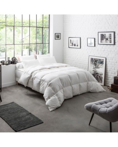 Couette 70% Duvet de Canard neuf Chaude 220x240 cm - DODO