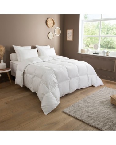 Couette 90% Duvet de Canard neuf Tempérée 220x240 cm - DODO