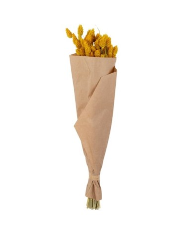 Bouquet de phalaris jaune séchées