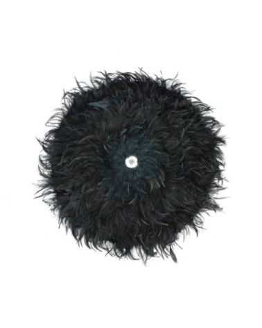 Décoration en plumes de coq et coquillages D50