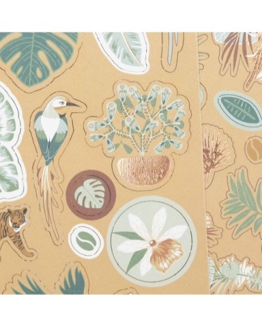 Kit décoration safari