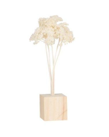 Brins de fleurs séchées naturelles sur socle en bois de pin beige