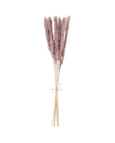 Bouquet de pampas séchées violettes