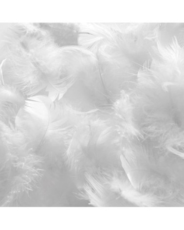 Oreiller 60x60   Duvet & Plumes  Mi-ferme