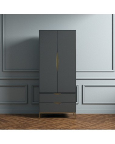 Armoire 2 portes 2 tiroirs en bois gris