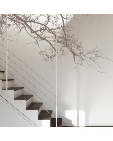 Papier peint panoramique abstract branch 255 x 250